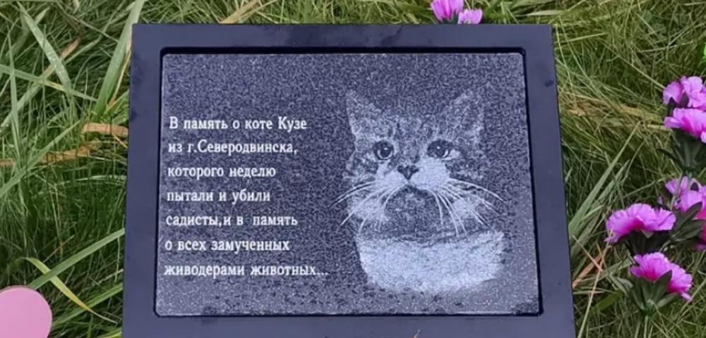 История замученного живодерами кота кузи, которому поставили памятник