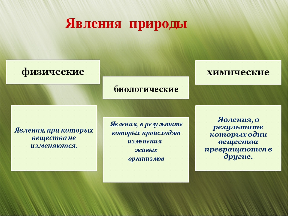 К чему снится ветер - значение сна ветер по соннику