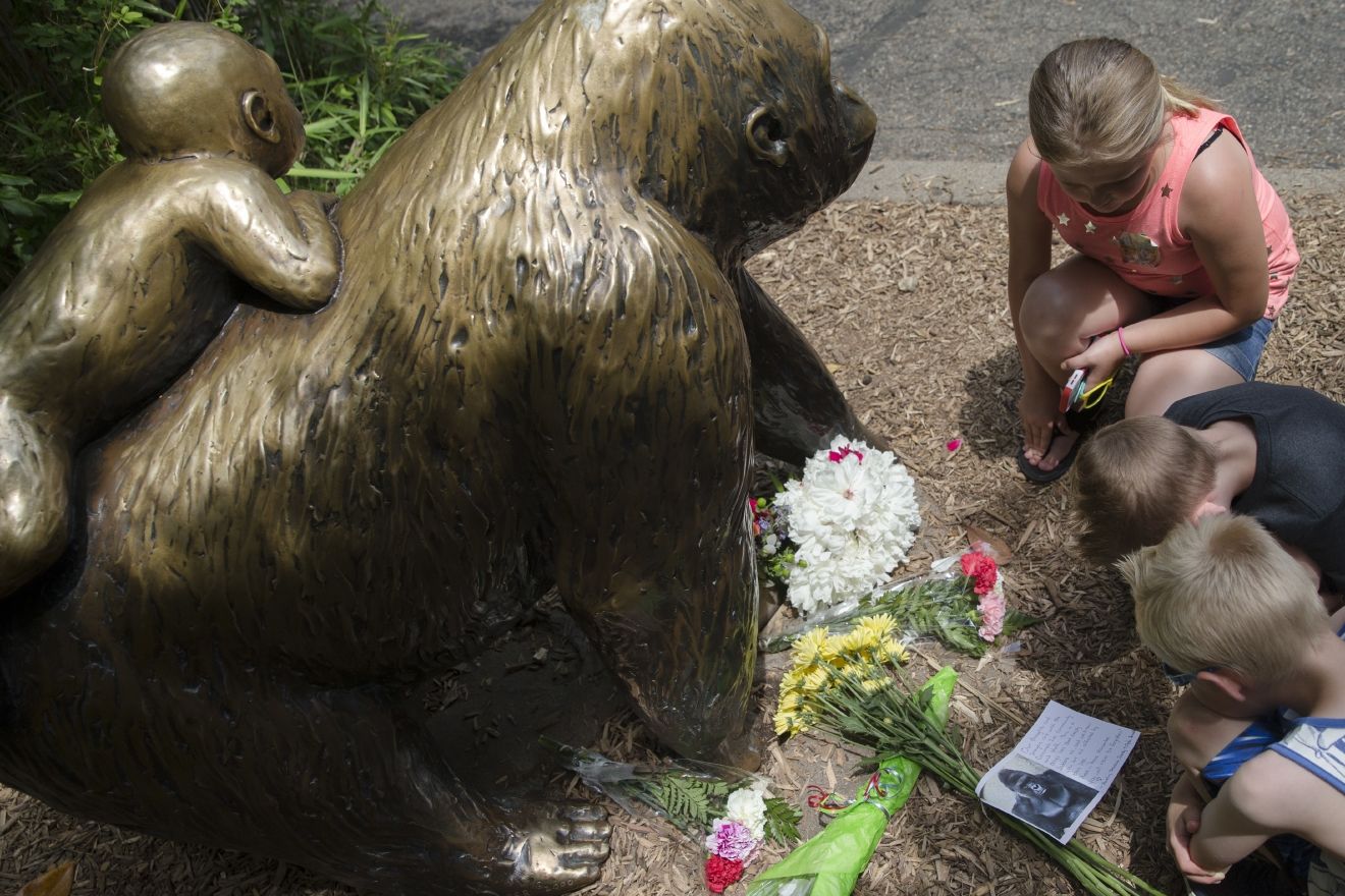 The harambe incident: a gorilla is killed after a child fell into its enclosure