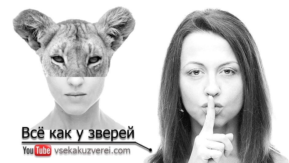 Как найти свой род предков по фамилии бесплатно без регистрации