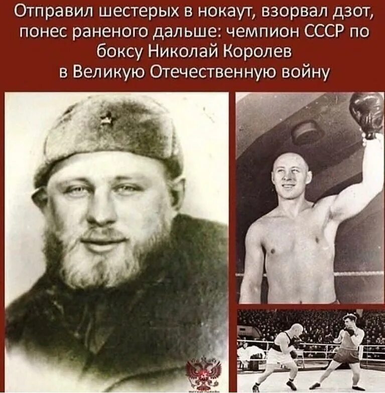 Савон боксер. феликс савон