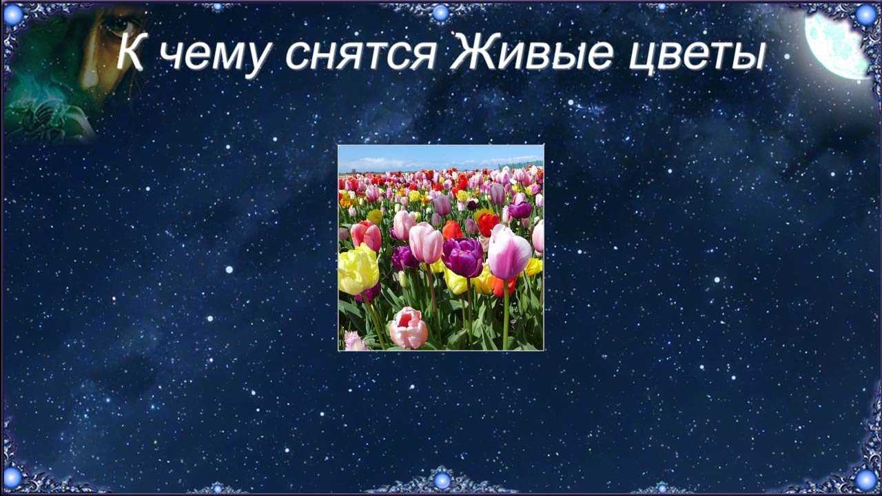 К чему снятся цветы