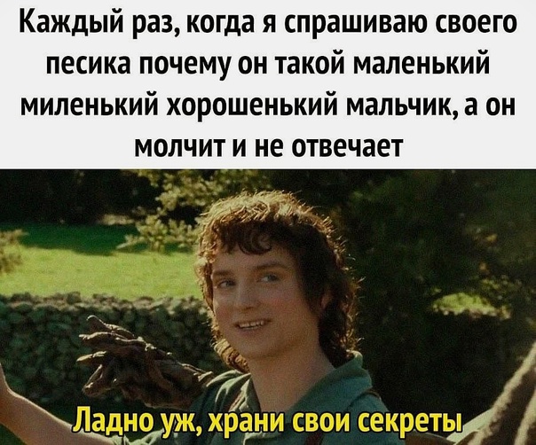 10 мемов, которые идеально подходят к фильмам «властелин колец»