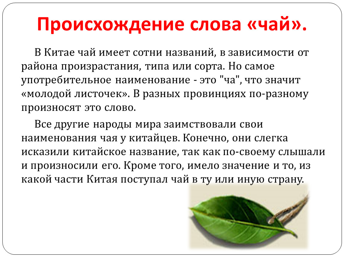Рюк цитаты. цитаты и фразы из тетрадки смерти