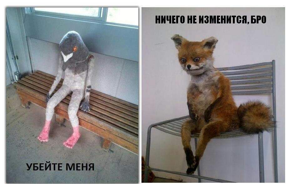 Мем: что это такое и что значит «интернет-мемы» - proslang.ru