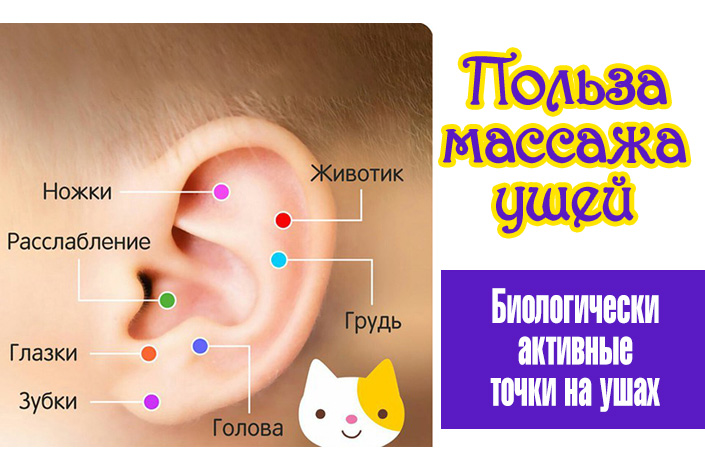 Точечный массаж для похудения: акупунктура в домашних условиях - allslim.ru