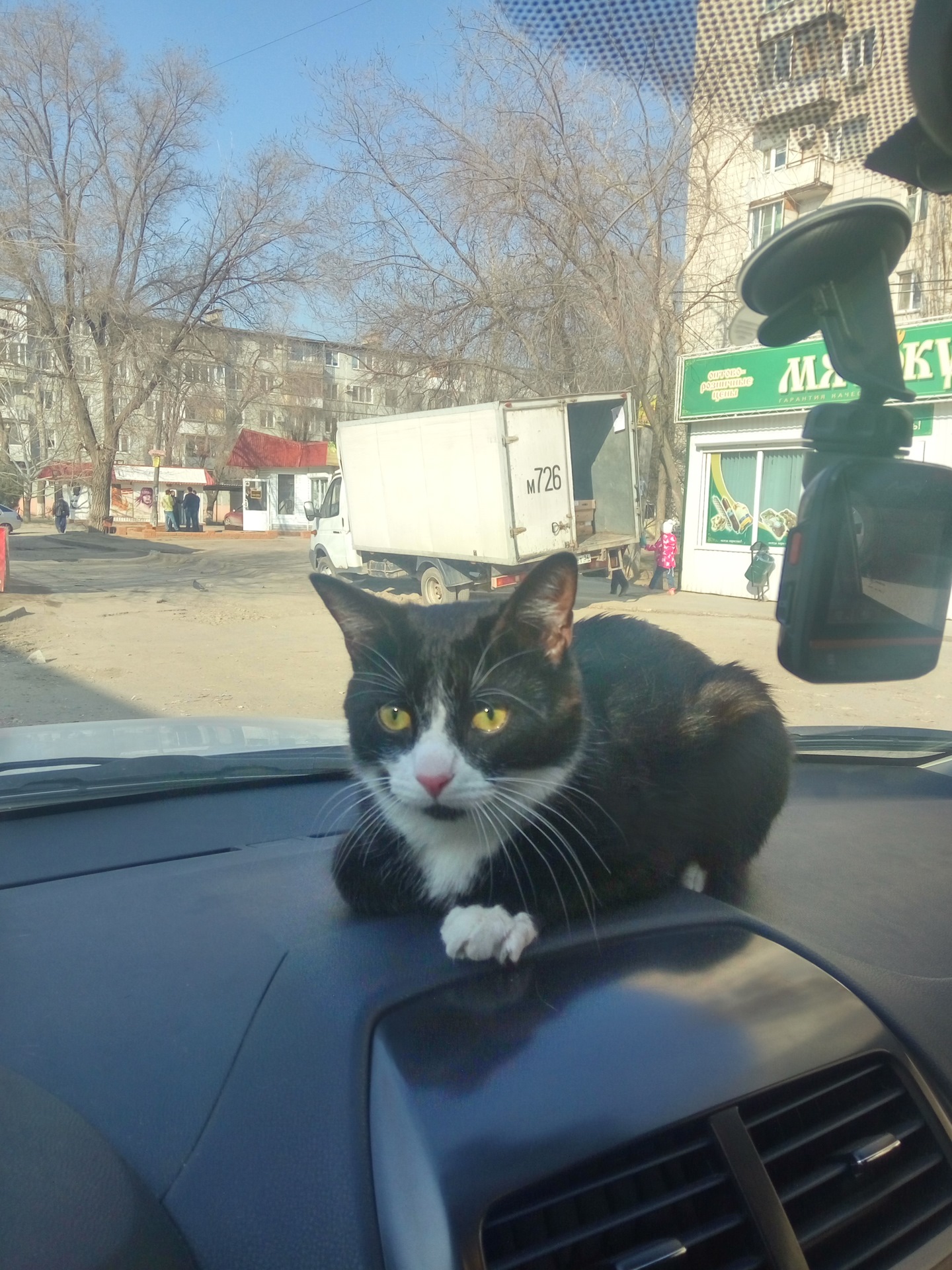 «кошмар 90-х»: что на самом деле означала заставка телекомпании «виd» — кириллица — энциклопедия русской жизни