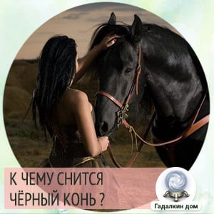Сонник лошадь - интернет-журнал amedeya