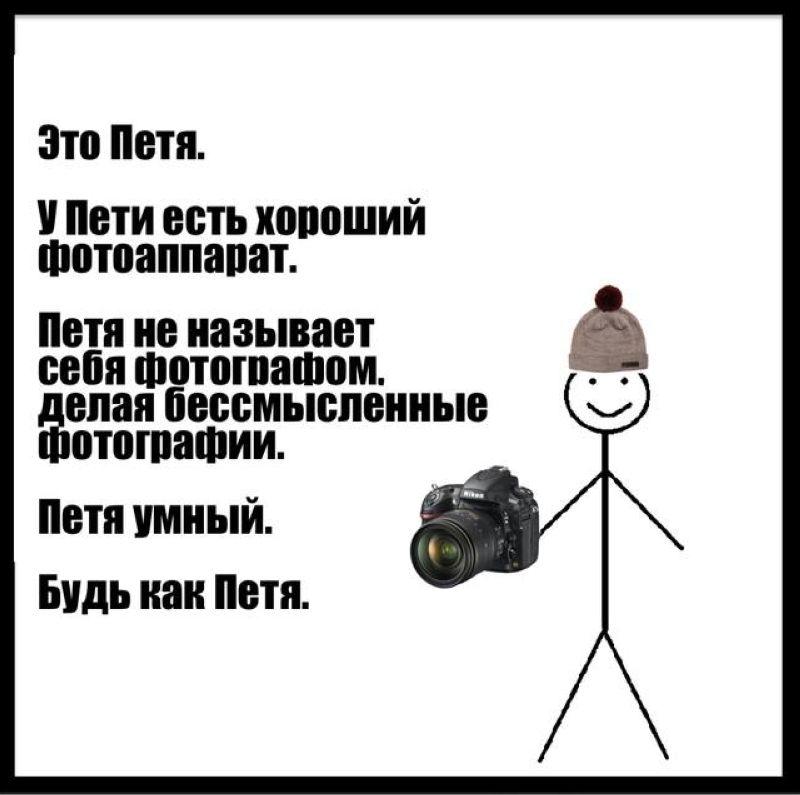 «наташа, мы все уронили». как эти коты попали в мемы | правмир