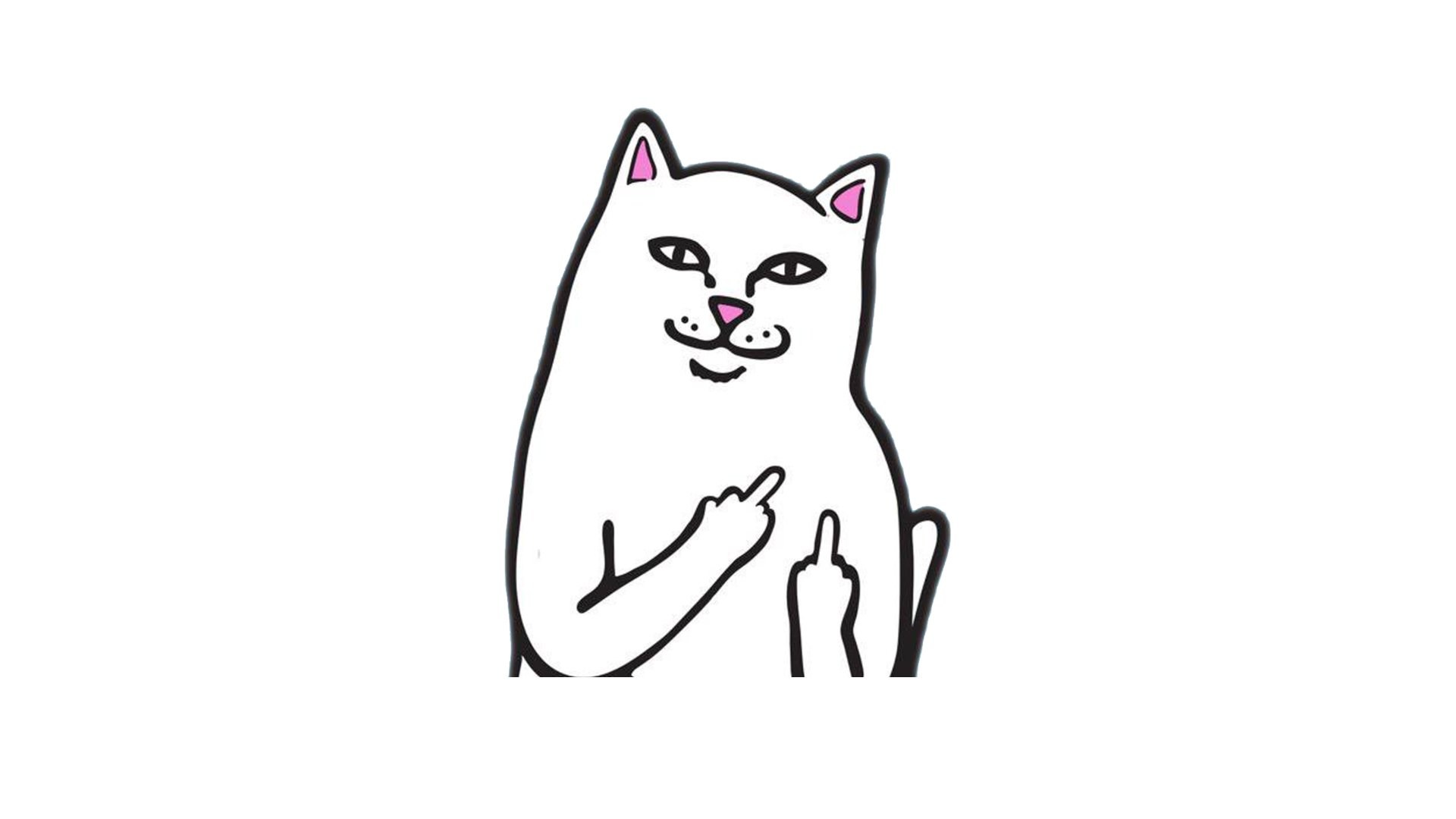 Кошка которая показывает факью » собачки и кошечки