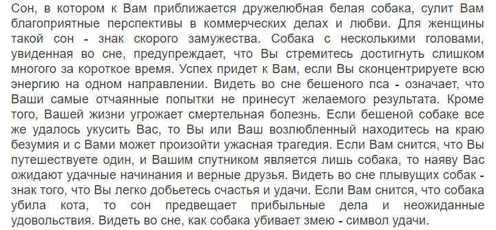 К чему снится собака: добрая, злая на цепи, большая стая животных, маленькие щенки, что значит, если пес кусает руку
