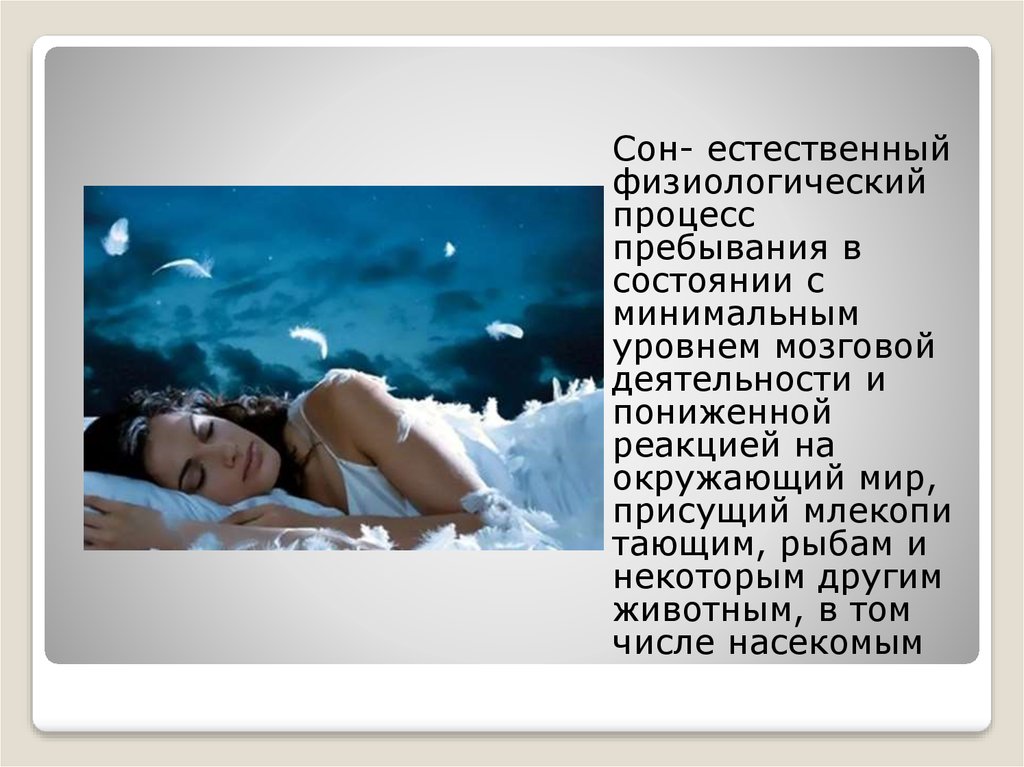 К чему снится верблюд во сне женщине - толкование сна