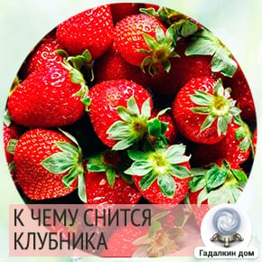 Сонник – толкование снов