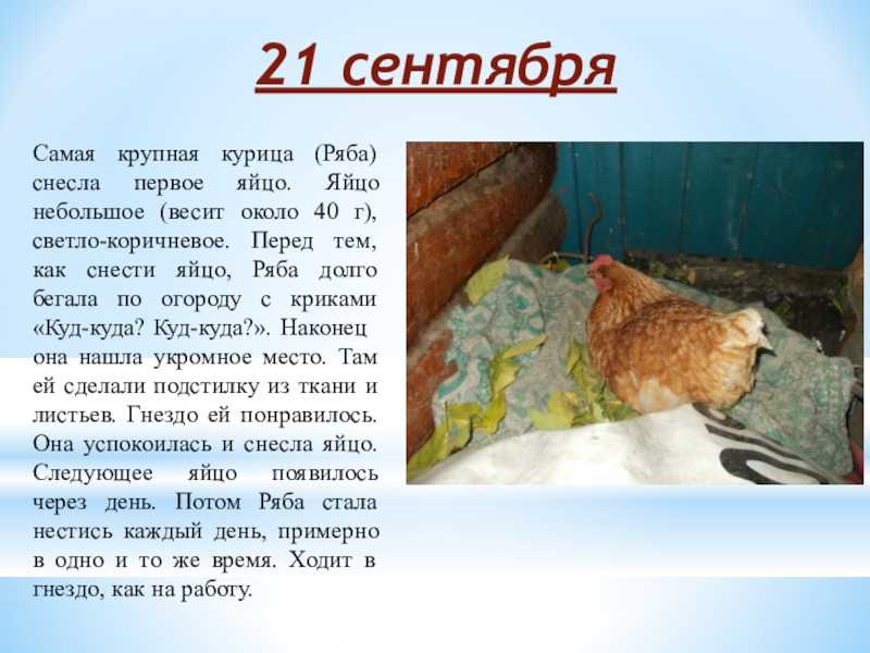 К чему снятся пасхальные яйца и что значит красить их во сне?