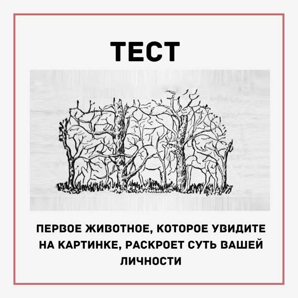 Кхалиси передразнивает: откуда мем, значение, галерея