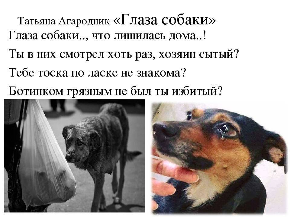 Кто такие кузьмичи в футболе