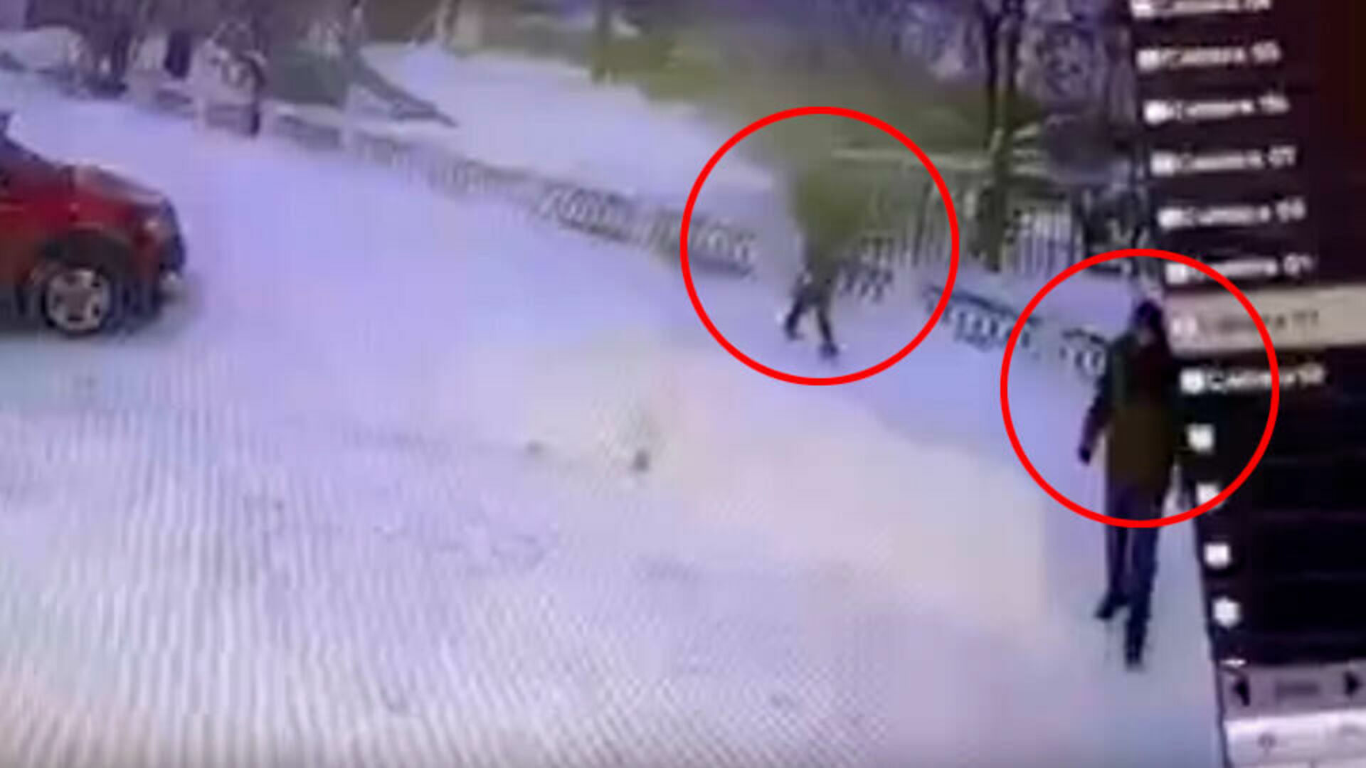 Японский изобретатель решил, что обычный робот-пылесос - это скучно, и превратил его в кота Белый пушистый котопылесос выглядит довольно жутко, его автор назвал свое творение Барум, это кот мужского пола и ему нет еще и года