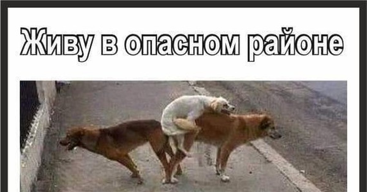 Что-то пошло не так — posmotre.li