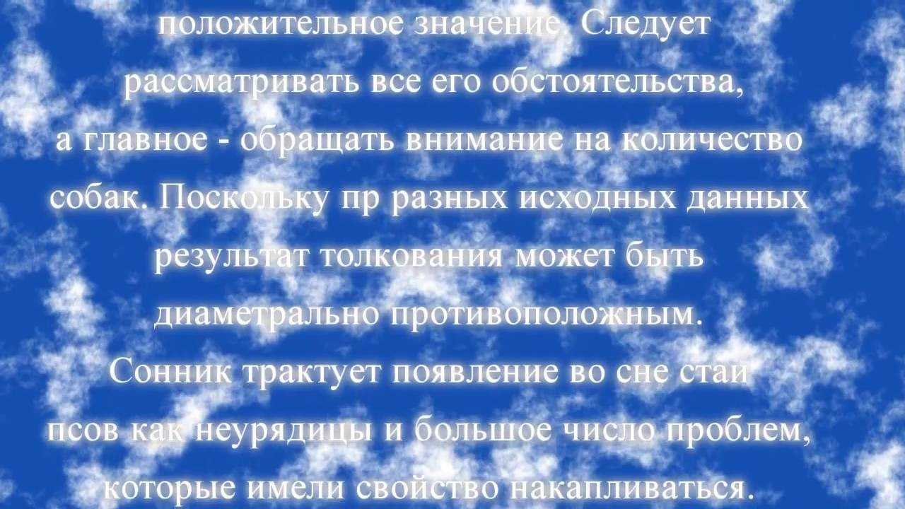 К чему снится собака?  85 толкований по сонникам