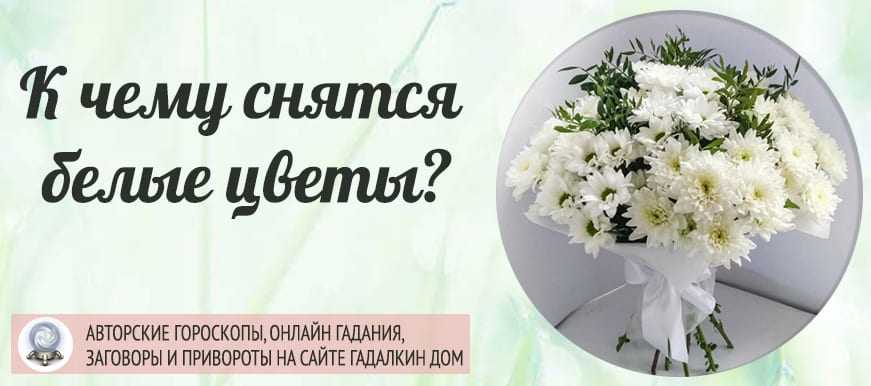 Как толковать сновидения - wikihow