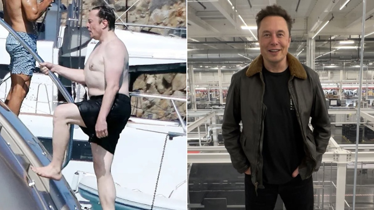 Elon musk donates $1 million to #teamtrees