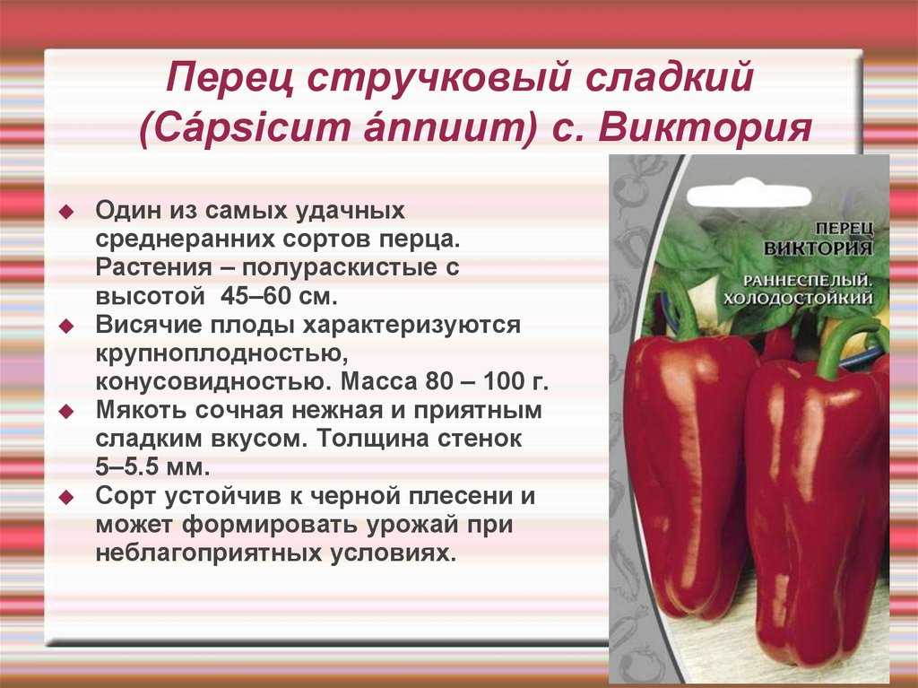 Когда и как сформировался большой каньон?