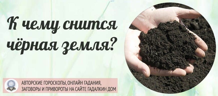Сонник онлайн – толкование снов бесплатно