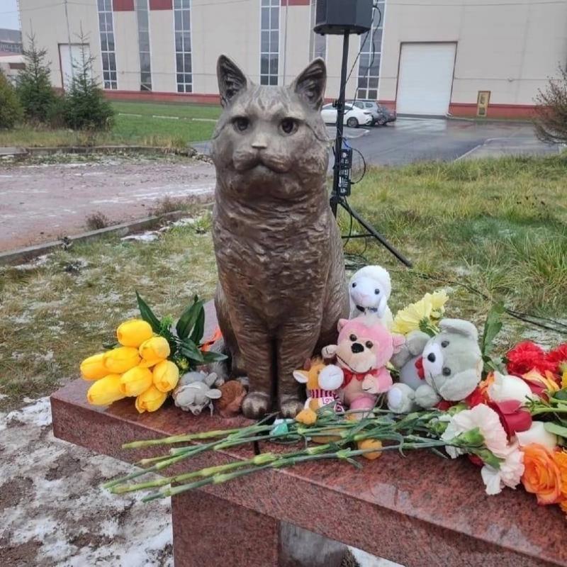 Сообщество кота кузю не вернуть, но их накажем...