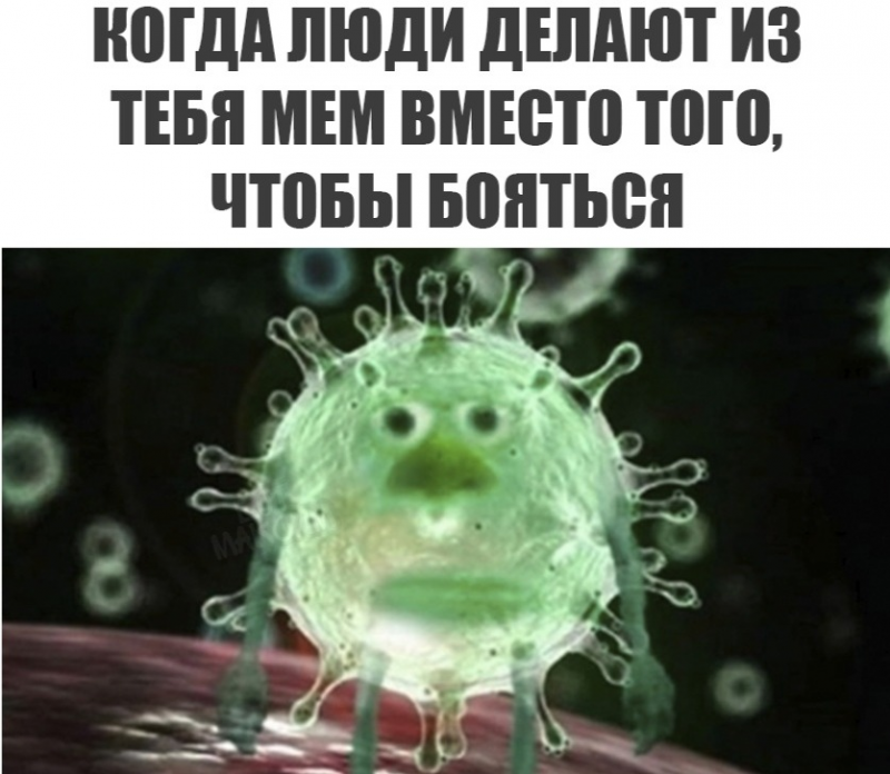 Коронавирус? нет, не страшно! в сети множатся мемы о covid-19