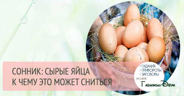 К чему снится  яйцо во сне — по 90 сонникам! если видишь во сне яйцо что значит?