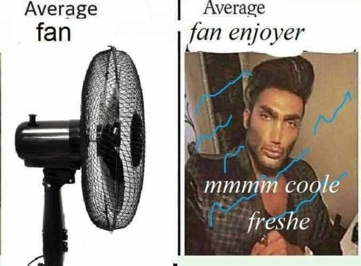 Average fan vs average enjoyer? – memes feel
