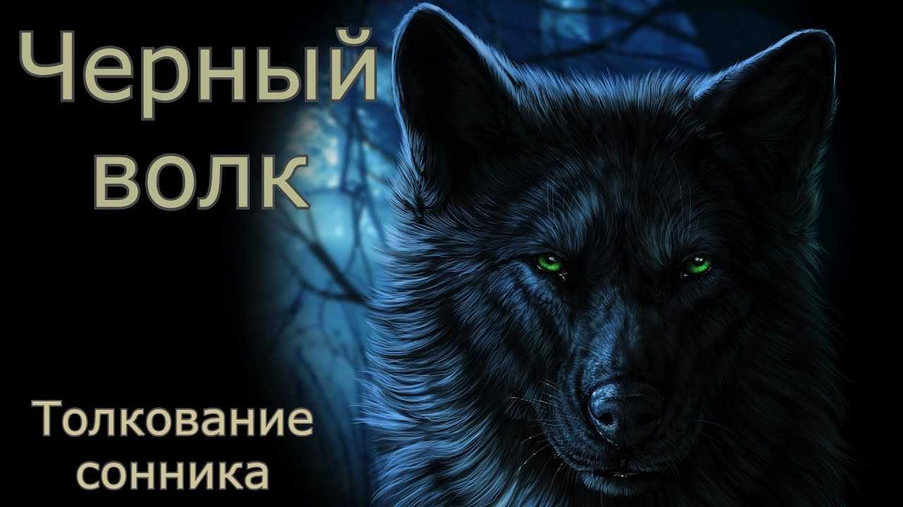 К чему снится волк во сне для женщины