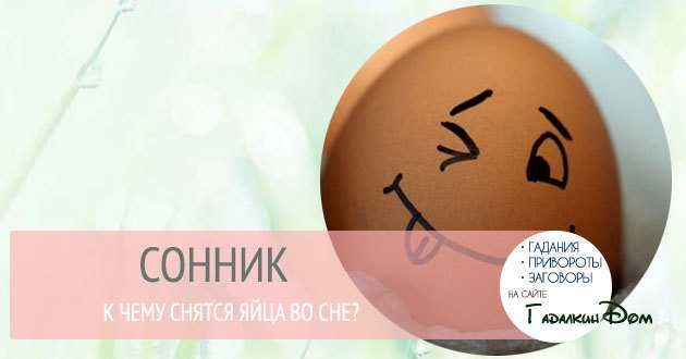 К чему снятся женщине куриные яйца по сонникам