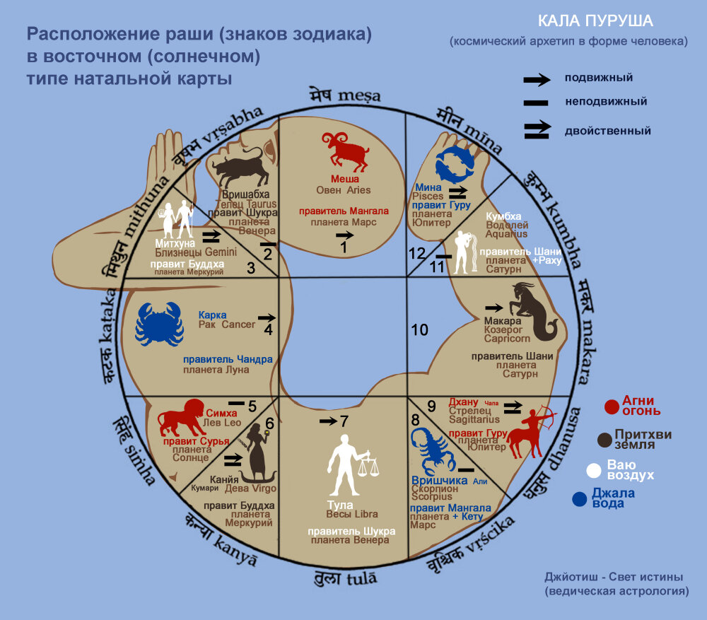 К чему снится мертвая собака: сонник