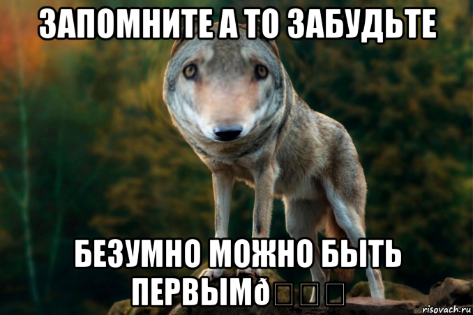 Безумно можно быть первым мемом с волком откуда