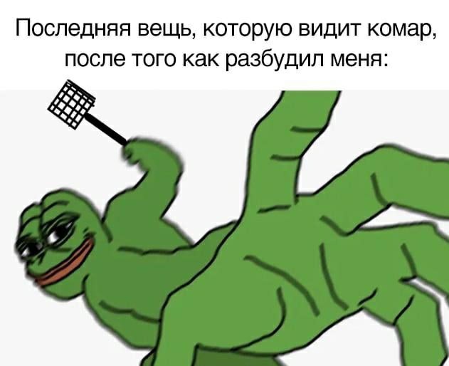 Лягушка или крыса tiktok trend история мемов, идеи и тонкости