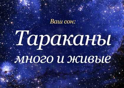 Сонник: тараканы, к чему снятся тараканы во сне приснились