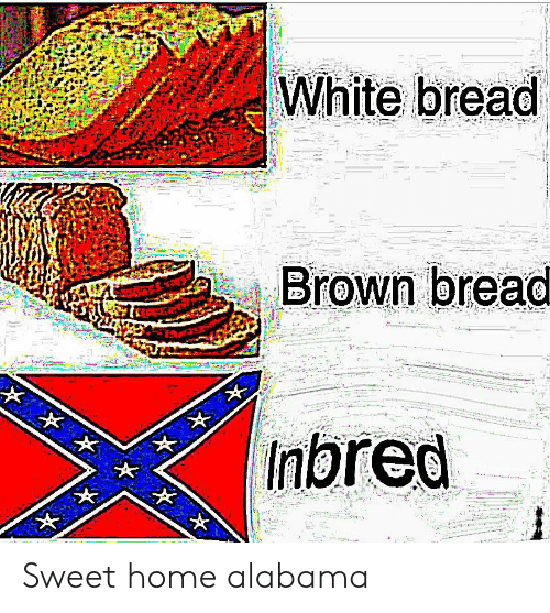 Sweet home alabama meme: почему это так противоречиво?