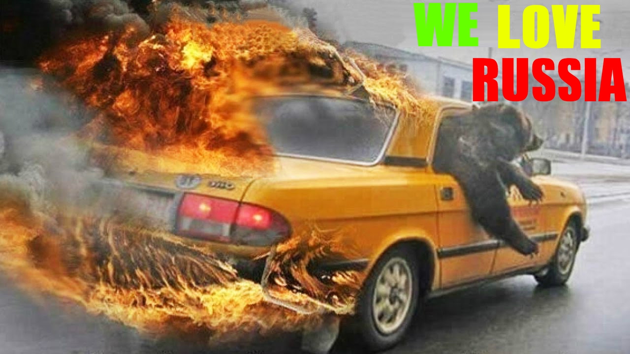 Кокаиновый мишка и 9 других веселых мемов