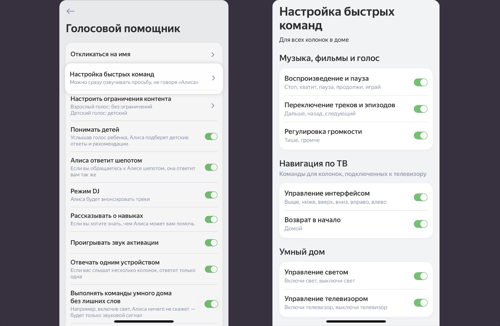 Очистка истории голосовых запросов с алисой: простые шаги для удаления чата и истории