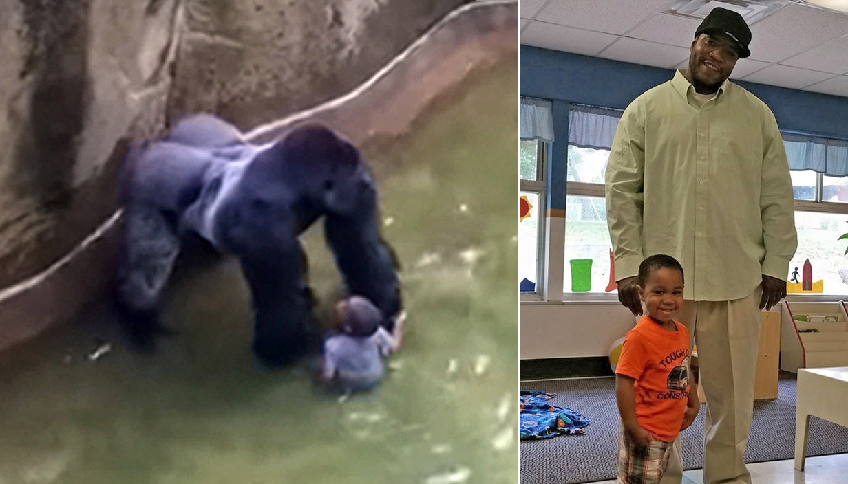 When did harambe die, how did the gorilla's death become a meme and why was he shot?