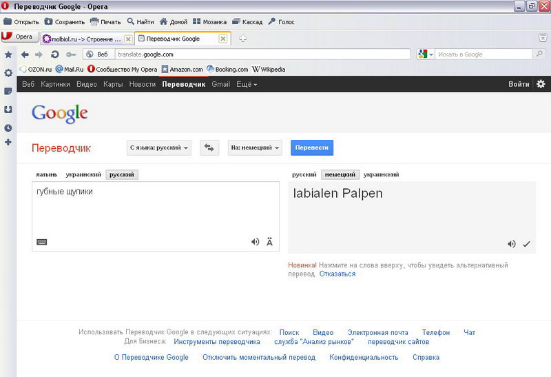 Google translate: 10 лучших функций, которые стоит знать