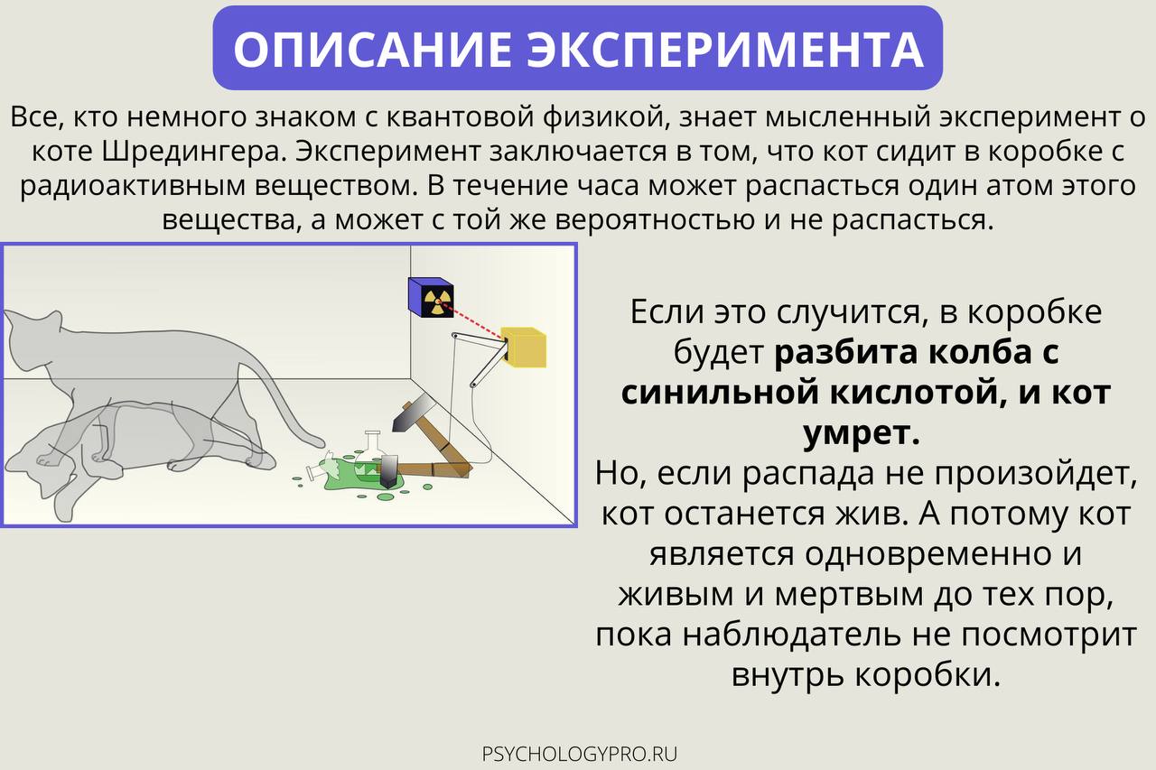 Теория шредингера простыми словами - it-lenta.ru