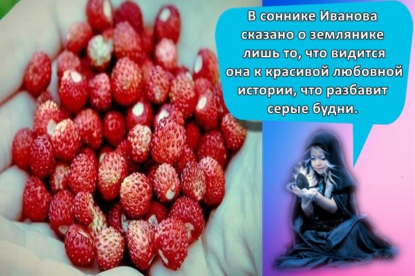 Сонник онлайн – толкование снов бесплатно