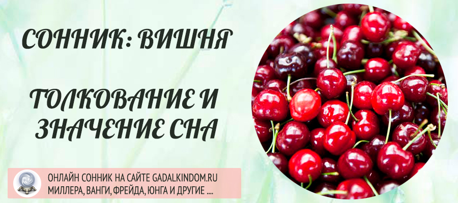 Черешня это ягода или фрукт, чем она полезна для здоровья