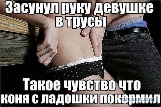 Целуй снимай - мем с девушкой, одетой в черную футболку с надписью Целуй и трусики с надписью Снимай Фразу дополняют другими словами в рифму