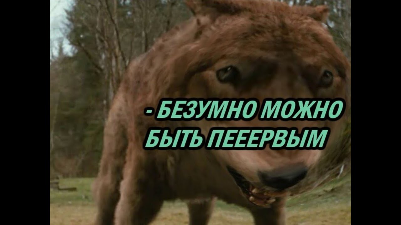 Безумно можно быть первым - строчка из одноименной песни рэпера Homie Стала абстрактным мемом из-за абсурда в словах, которые не несут никакого смысла