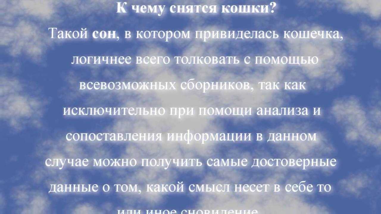 Выгонять кошек из дома во сне: много, своего и чужого, к чему снится