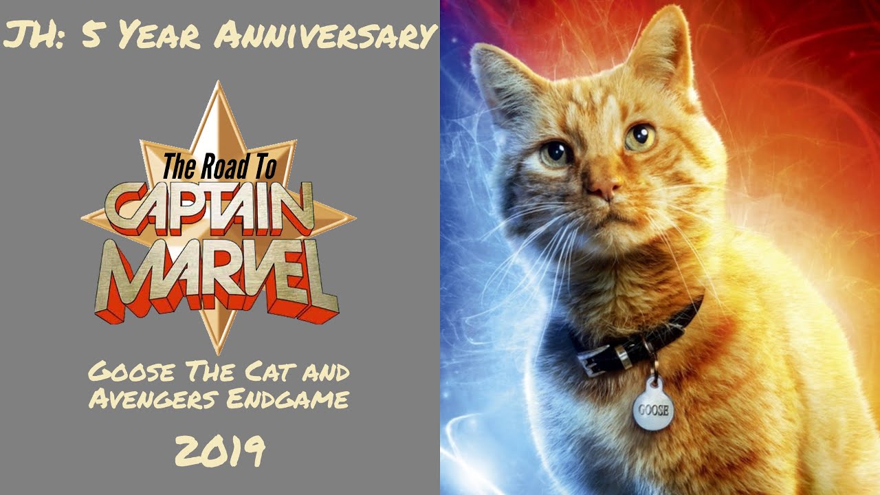 The story of captain marvel’s cat, goose | uk pets