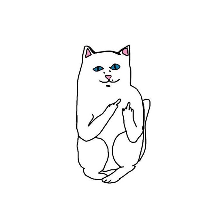 Кошка которая показывает факью